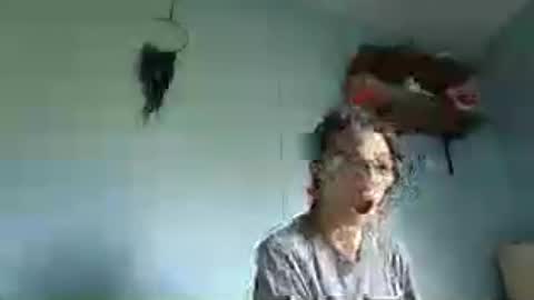 bamacpl80 online show from July 28, 2026, 2:46 pm
