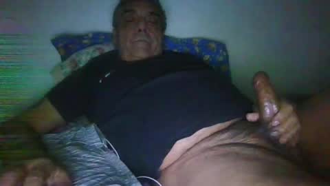bambino6060 online show from June 17, 2026, 6:05 am