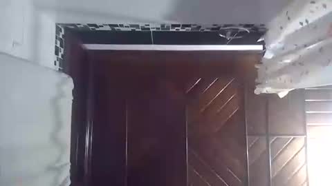 barbi_boobs online show from November 9, 2025, 5:39 am