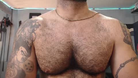 Snapshot of bardockroy_ chatting on February 1, 2025, 9:51 pm bardock online show from February 1, 2025, 9:51 pm