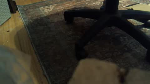 Snapshot of bartender3127 chatting on January 16, 2025, 4:18 pm bartender3127 online show from January 16, 2025, 4:18 pm