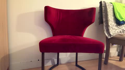 Batestallion9x6 online show from January 19, 2026, 11:14 am