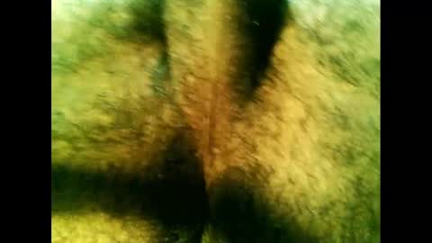 bayfall online show from December 14, 2024, 10:28 pm