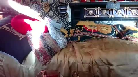 Bazza online show from November 1, 2025, 7:32 am