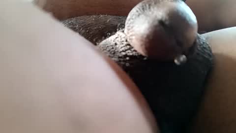 bcfalcon69 online show from June 7, 2026, 12:42 pm