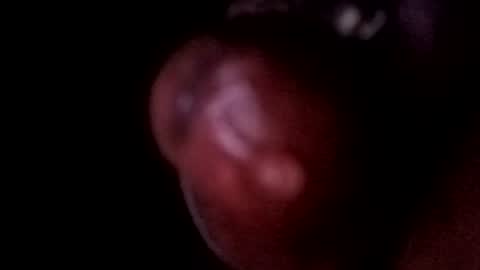 Snapshot of bcfalcon69 chatting on June 14, 2026, 5:09 am bcfalcon69 online show from June 14, 2026, 5:09 am
