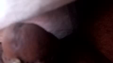 Snapshot of bcfalcon69 chatting on July 2, 2026, 5:46 am bcfalcon69 online show from July 2, 2026, 5:46 am