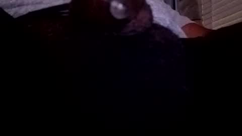 Snapshot of bcfalcon69 chatting on July 23, 2026, 4:10 am bcfalcon69 online show from July 23, 2026, 4:10 am