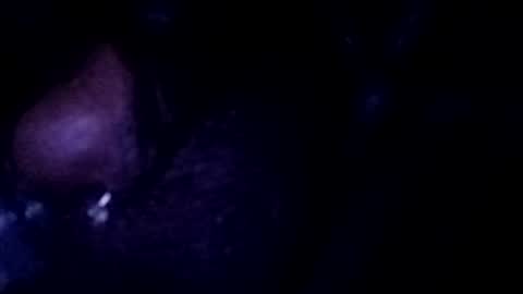 Snapshot of bcfalcon69 chatting on July 25, 2026, 3:04 am bcfalcon69 online show from July 25, 2026, 3:04 am