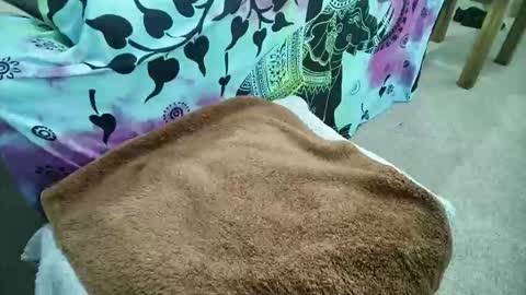 Snapshot of be4your_desire chatting on May 6, 2026, 9:25 am mikiforfun online show from May 6, 2026, 9:25 am