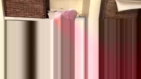 BeachGuy online show from November 18, 2025, 4:44 pm