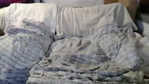 BeachyMILF online show from December 18, 2025, 4:13 pm