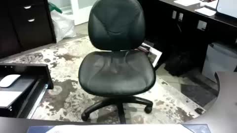 beagle1 online show from October 14, 2025, 12:00 am