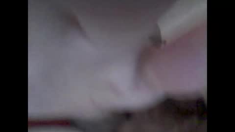 bear14250949 online show from November 14, 2025, 10:25 am