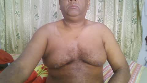 Grizzly   online show from January 1, 2025, 2:31 pm