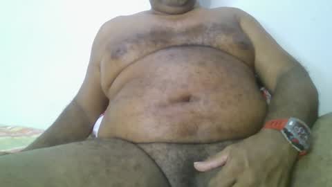 Grizzly   online show from January 28, 2025, 8:25 am