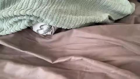 beaumec111 online show from March 17, 2026, 3:48 pm