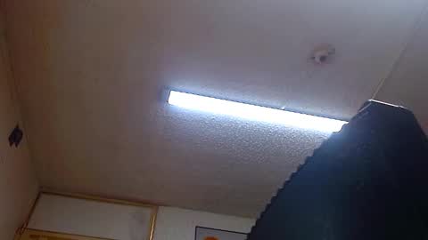 lady online show from December 31, 2024, 1:41 pm