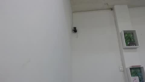 lady online show from February 9, 2025, 6:47 pm