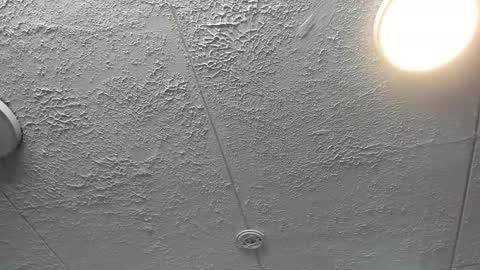  Bella  online show from December 4, 2025, 7:22 pm