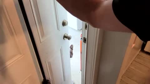 Roxy Rain online show from February 19, 2025, 2:12 pm