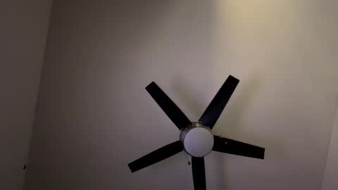 Belle xx online show from March 6, 2026, 7:32 pm