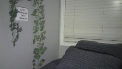 Ben online show from February 5, 2025, 11:34 am