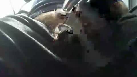 beninoam75 online show from October 15, 2025, 7:03 pm