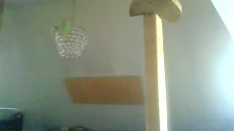 benizio online show from January 30, 2025, 11:01 am