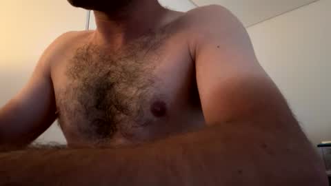 Berltex online show from July 13, 2026, 7:22 am