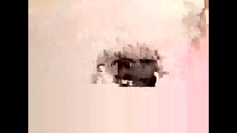 Cock arabic Authentic online show from November 11, 2025, 8:42 pm