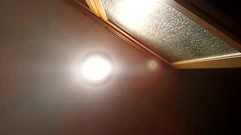 bgiamba21 online show from October 29, 2025, 11:50 pm