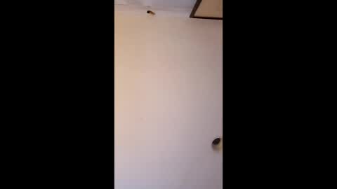 bgiamba21 online show from April 4, 2026, 6:33 am