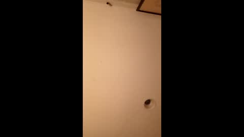 bgiamba21 online show from May 12, 2026, 6:32 am