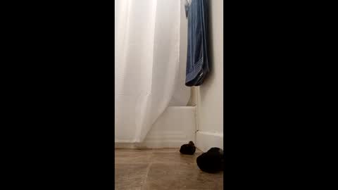 bibottom68942 online show from December 22, 2025, 12:24 pm