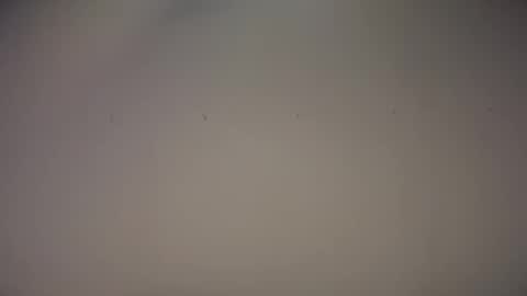 Biff Beaverhousen online show from November 1, 2025, 11:34 am