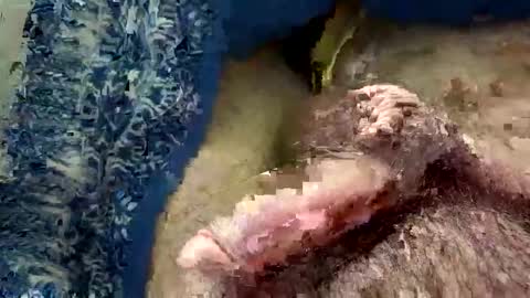 big88385909 online show from November 20, 2025, 12:44 am