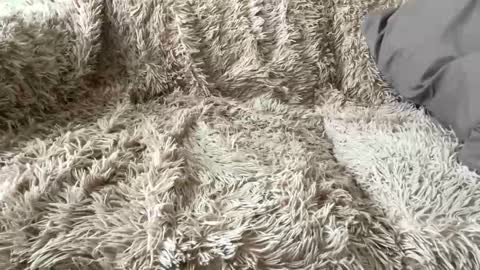 Big dick G online show from April 7, 2026, 12:27 pm