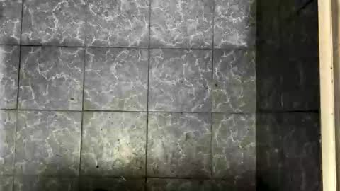 bigass_fag online show from October 5, 2025, 9:45 pm