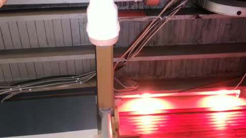 Snapshot of bigassman46 chatting on October 9, 2025, 10:08 pm Straight Dave online show from October 9, 2025, 10:08 pm