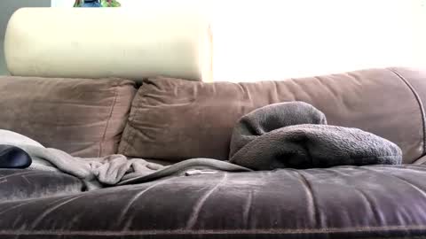 Snapshot of bigboadick chatting on October 31, 2025, 2:18 pm bigboadick online show from October 31, 2025, 2:18 pm