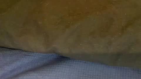 Snapshot of bigboii842 chatting on November 15, 2025, 4:36 pm bigboii842 online show from November 15, 2025, 4:36 pm