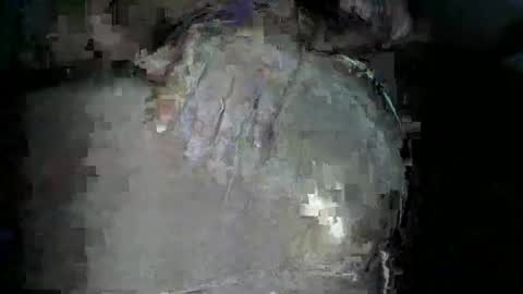 Snapshot of bigboybigbutt69 chatting on November 15, 2025, 12:02 pm bigboybigbutt69 online show from November 15, 2025, 12:02 pm