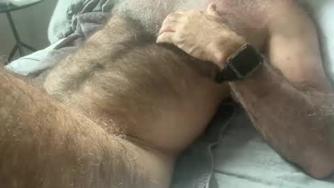 Snapshot of bigbush1 chatting on February 11, 2025, 12:49 am big bush online show from February 11, 2025, 12:49 am