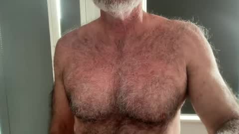 Snapshot of bigbush1 chatting on June 18, 2026, 12:00 am big bush online show from June 18, 2026, 12:00 am