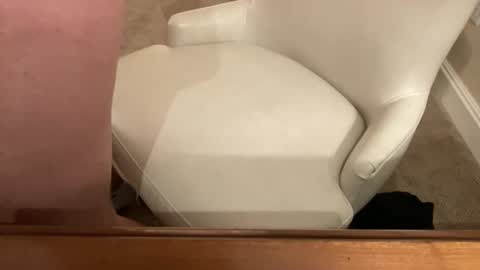 bigcock4u32 online show from March 22, 2026, 4:16 am