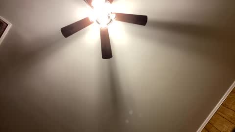 bigcock4yourwetcunt online show from March 12, 2025, 4:51 am