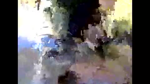 bigdaddydongarlets391292 online show from October 24, 2025, 9:17 am