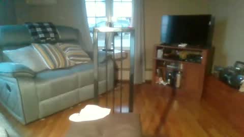 bigdeer58191747802843 online show from September 18, 2025, 9:55 am