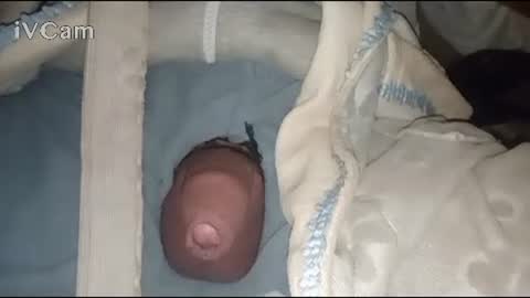 Big online show from February 3, 2025, 4:14 am